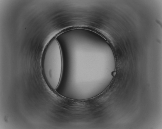 X0000092100935200709121106
