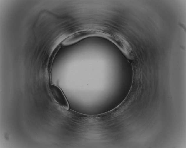 X0000092100936200709121106