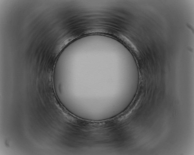 X0000092100937200709121106