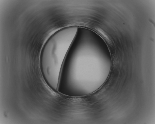 X0000092100940200709121106
