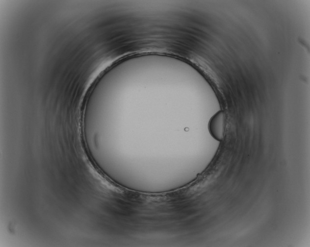 X0000092100941200709121106