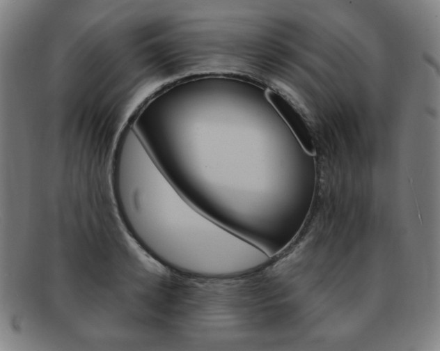 X0000092100942200709121106