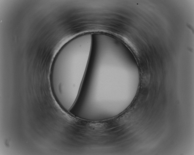 X0000092100943200709121106