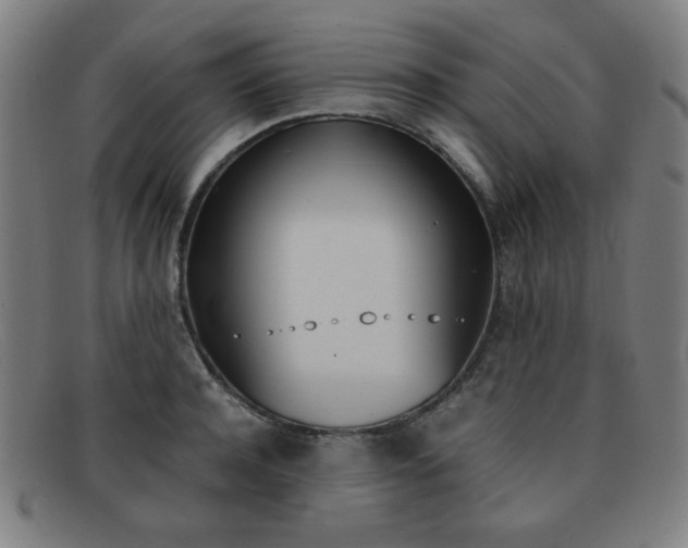 X0000092100944200709121107