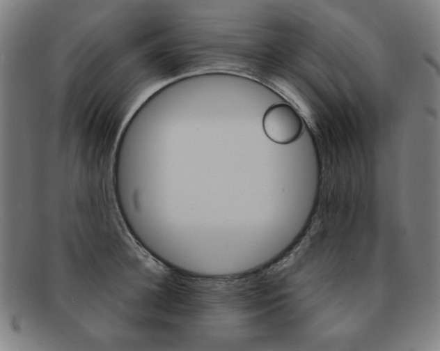 X0000092100948200709121107