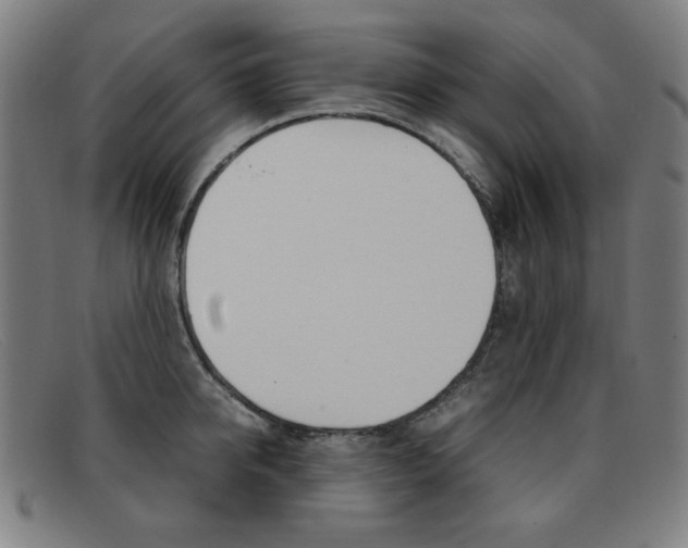 X0000092100950200709121107