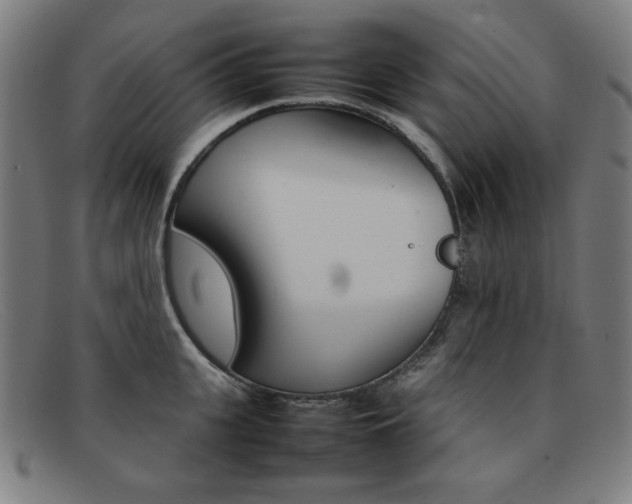 X0000092100951200709121107