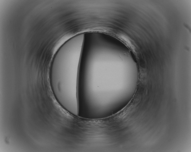 X0000092100952200709121107