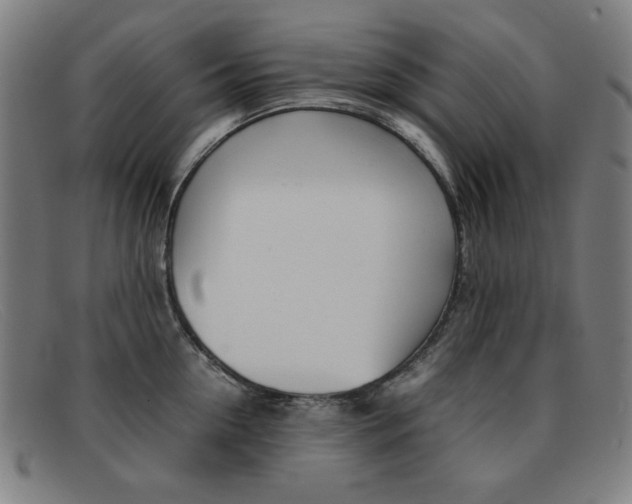 X0000092100954200709121107