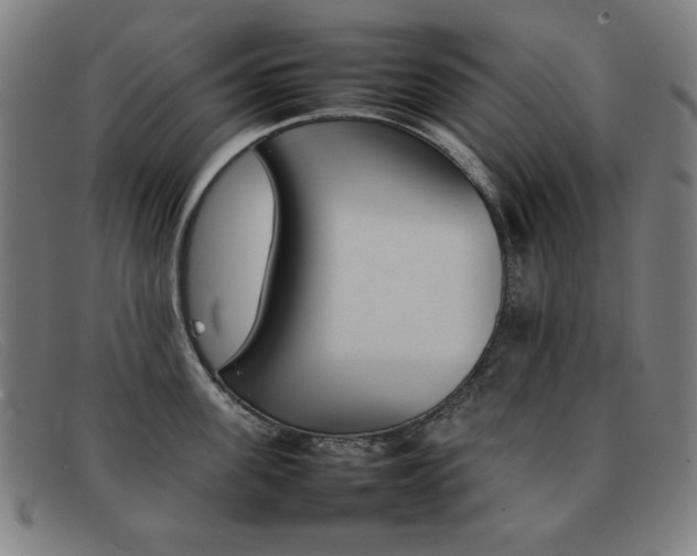 X0000092100955200709121107