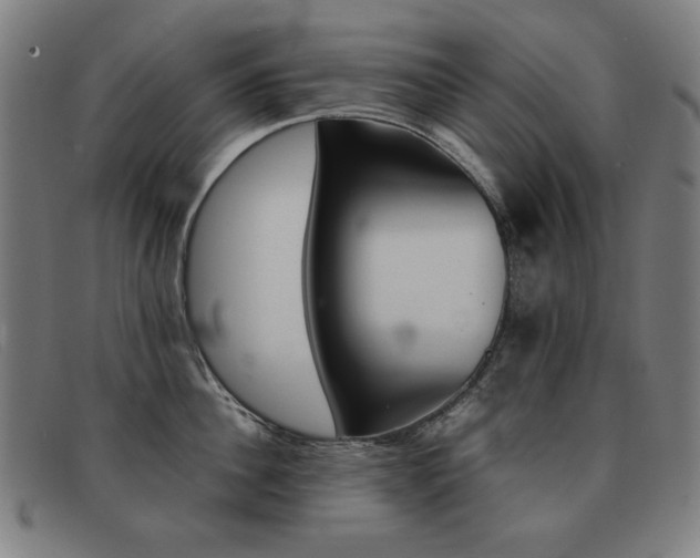 X0000092100956200709121107