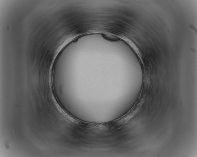 X0000092100957200709121107