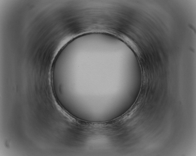 X0000092100958200709121107
