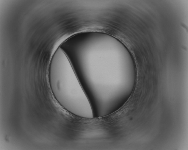 X0000092100960200709121107