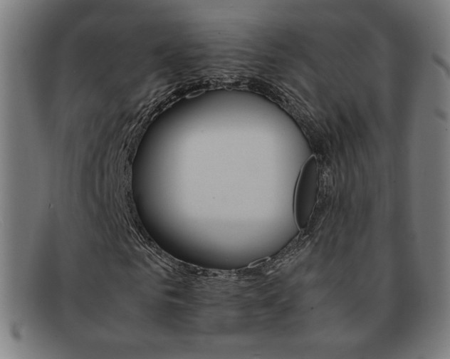 X0000092100961200709121106