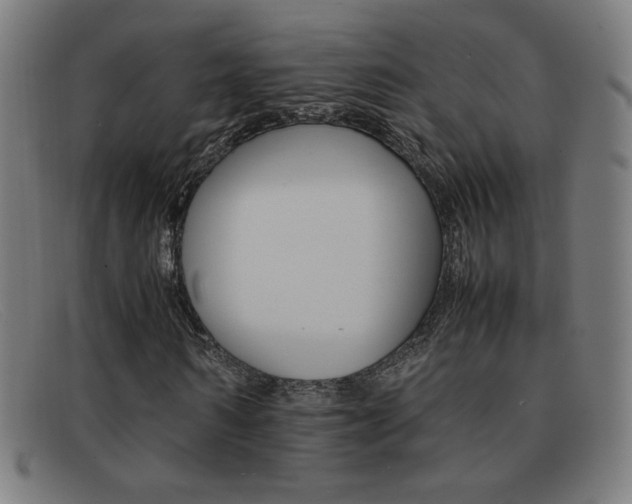 X0000092100962200709121106