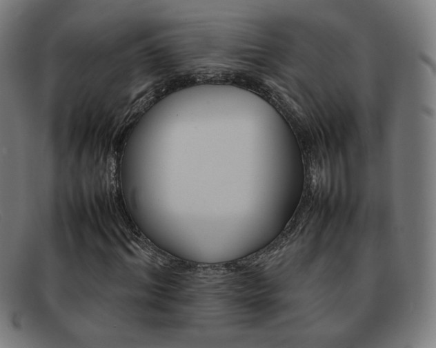 X0000092100964200709121106