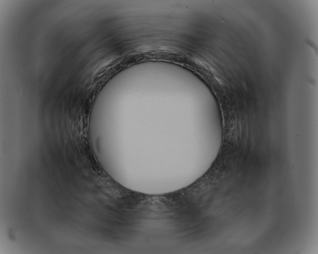X0000092100966200709121106