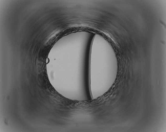 X0000092100967200709121106