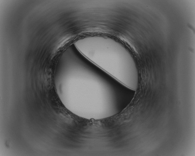 X0000092100968200709121106
