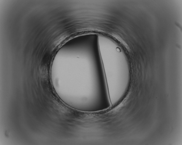 X0000092100969200709121106
