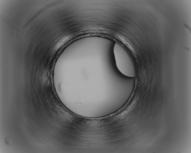 X0000092100970200709121106