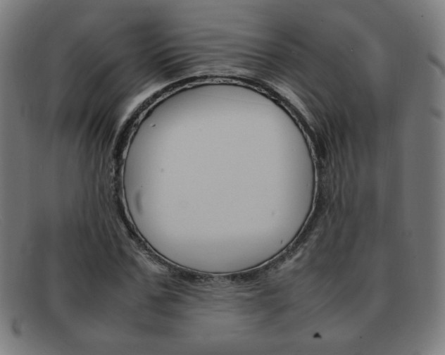 X0000092100971200709121106