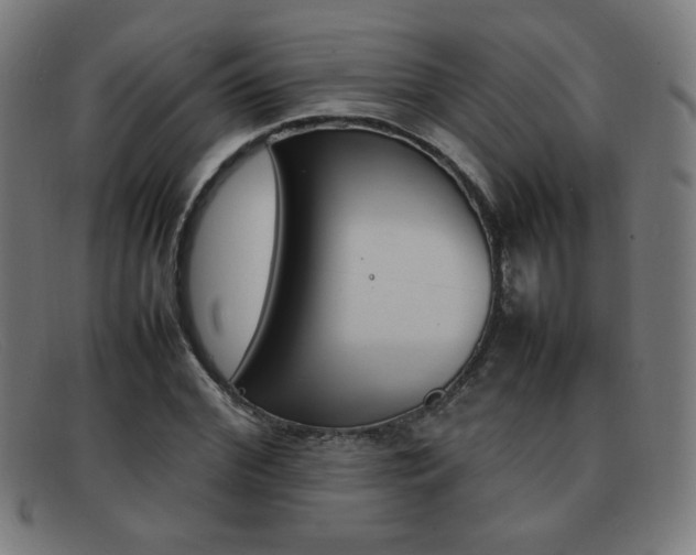 X0000092100972200709121106