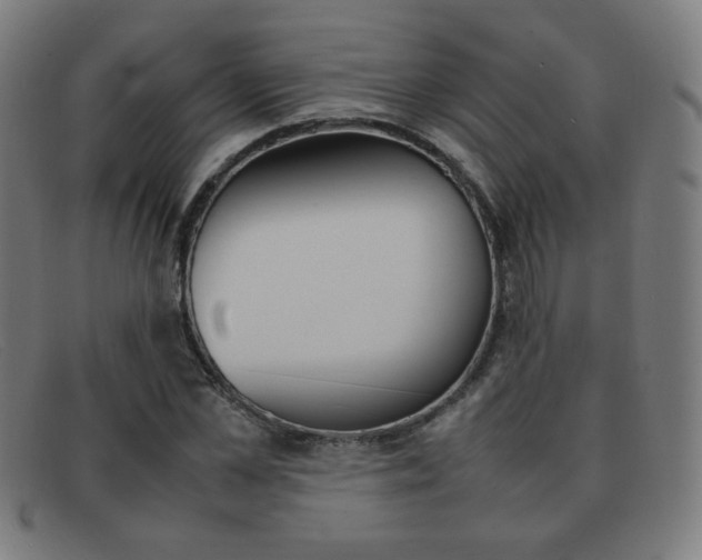 X0000092100973200709121106