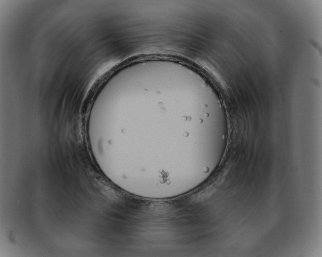 X0000092100974200709121106
