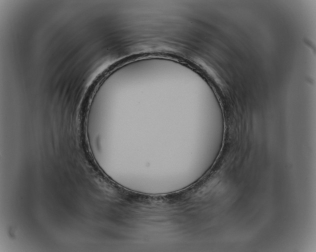 X0000092100975200709121106