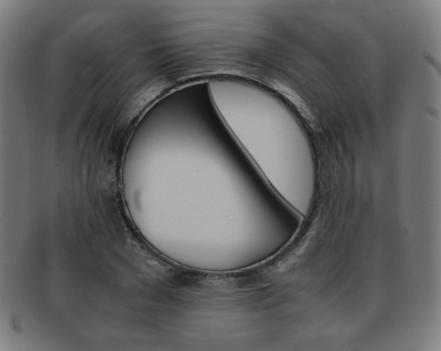 X0000092100977200709121106