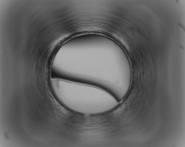 X0000092100979200709121106