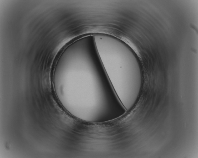 X0000092100980200709121106