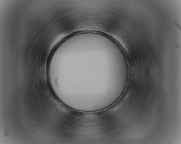 X0000092100982200709121106