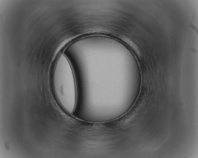 X0000092100983200709121106