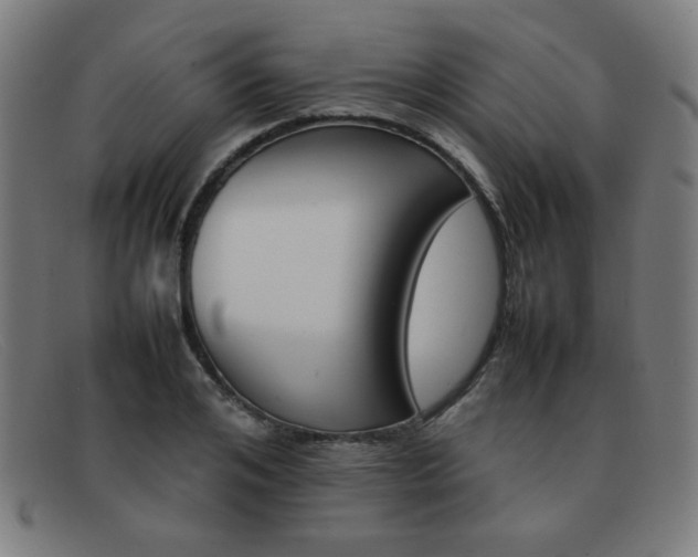 X0000092100984200709121106