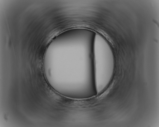 X0000092100985200709121106