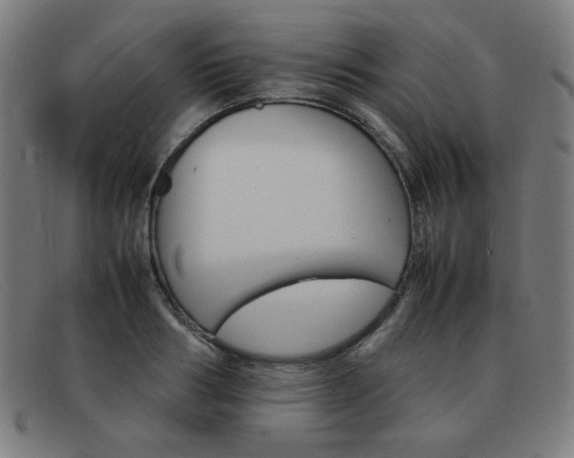 X0000092100986200709121106