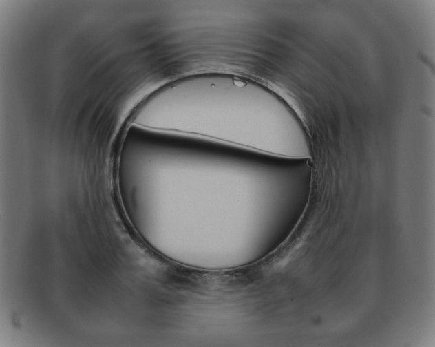 X0000092100987200709121106