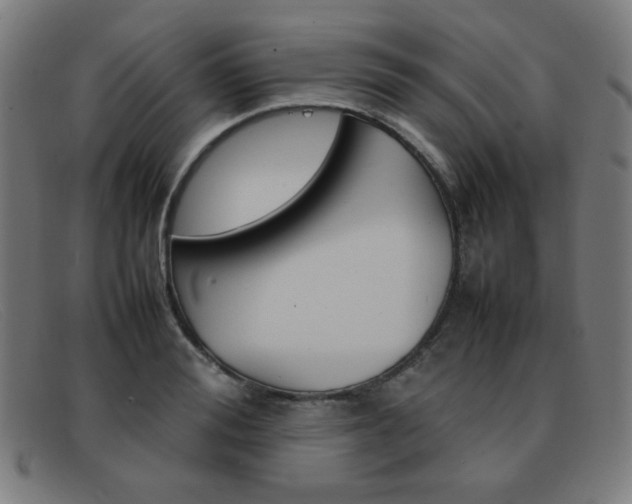 X0000092100988200709121106