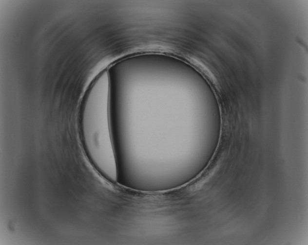 X0000092100989200709121106