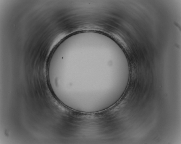 X0000092100990200709121106