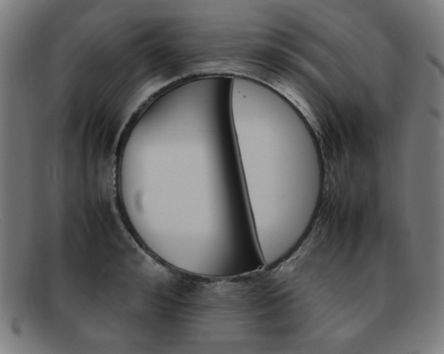 X0000092100992200709121106