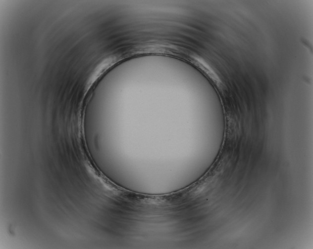 X0000092100994200709121106