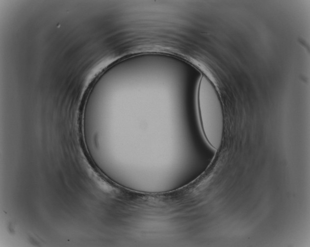 X0000092100995200709121106