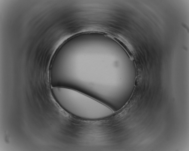 X0000092100996200709121106