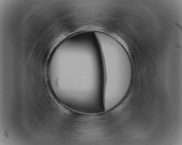 X0000092100997200709121106