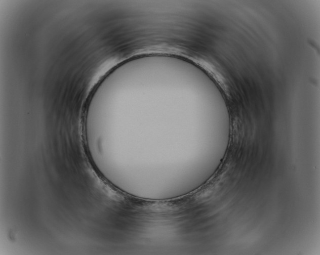 X0000092100998200709121106