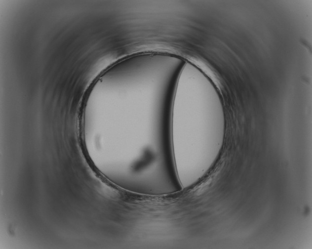 X0000092100999200709121106